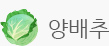 양배추