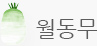 월동무
