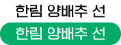 한림 양배추 선