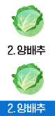 2.양배추