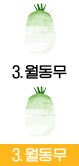 3.월동무