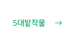 5대 밭작물